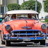 Lelle-60