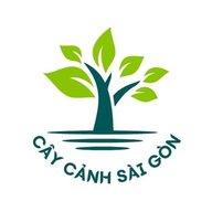 caycanhsaigonlife